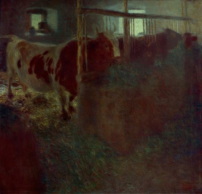 Vaches dans l